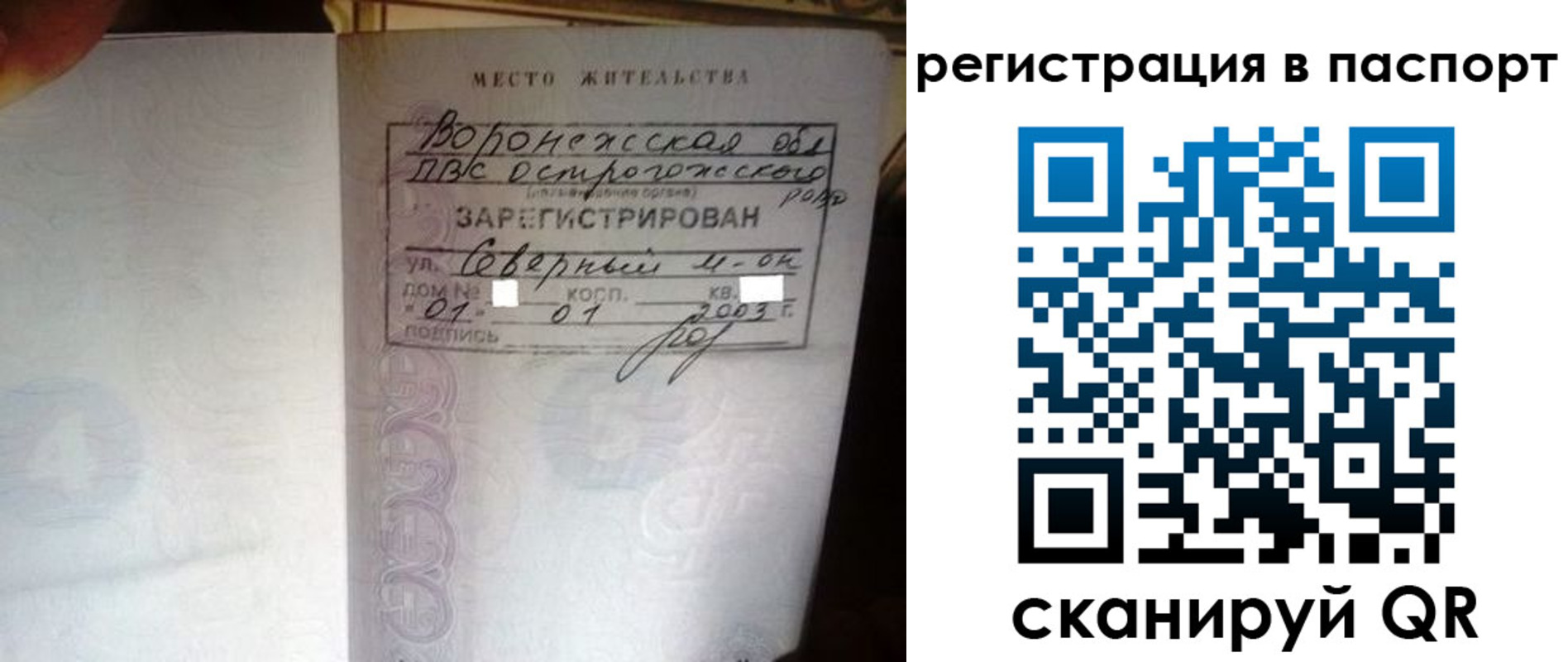 прописка для школы в Ростовской области